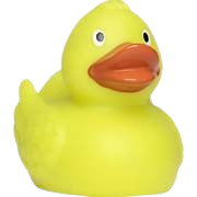 Squeaky duck