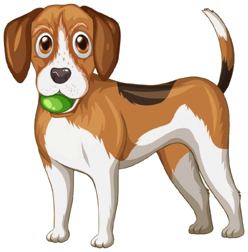 Beagle