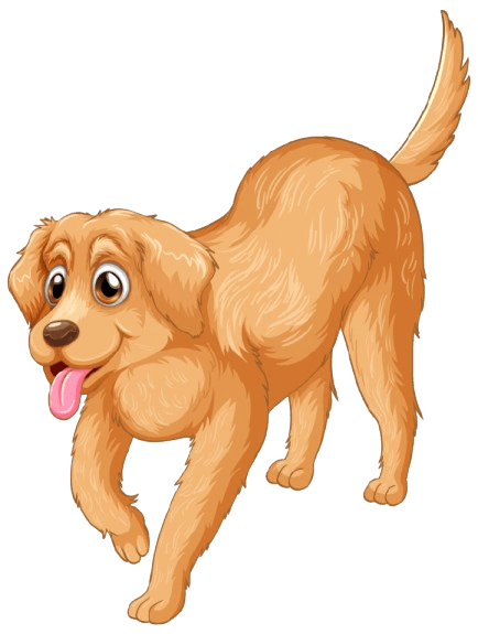 Golden-Retriever