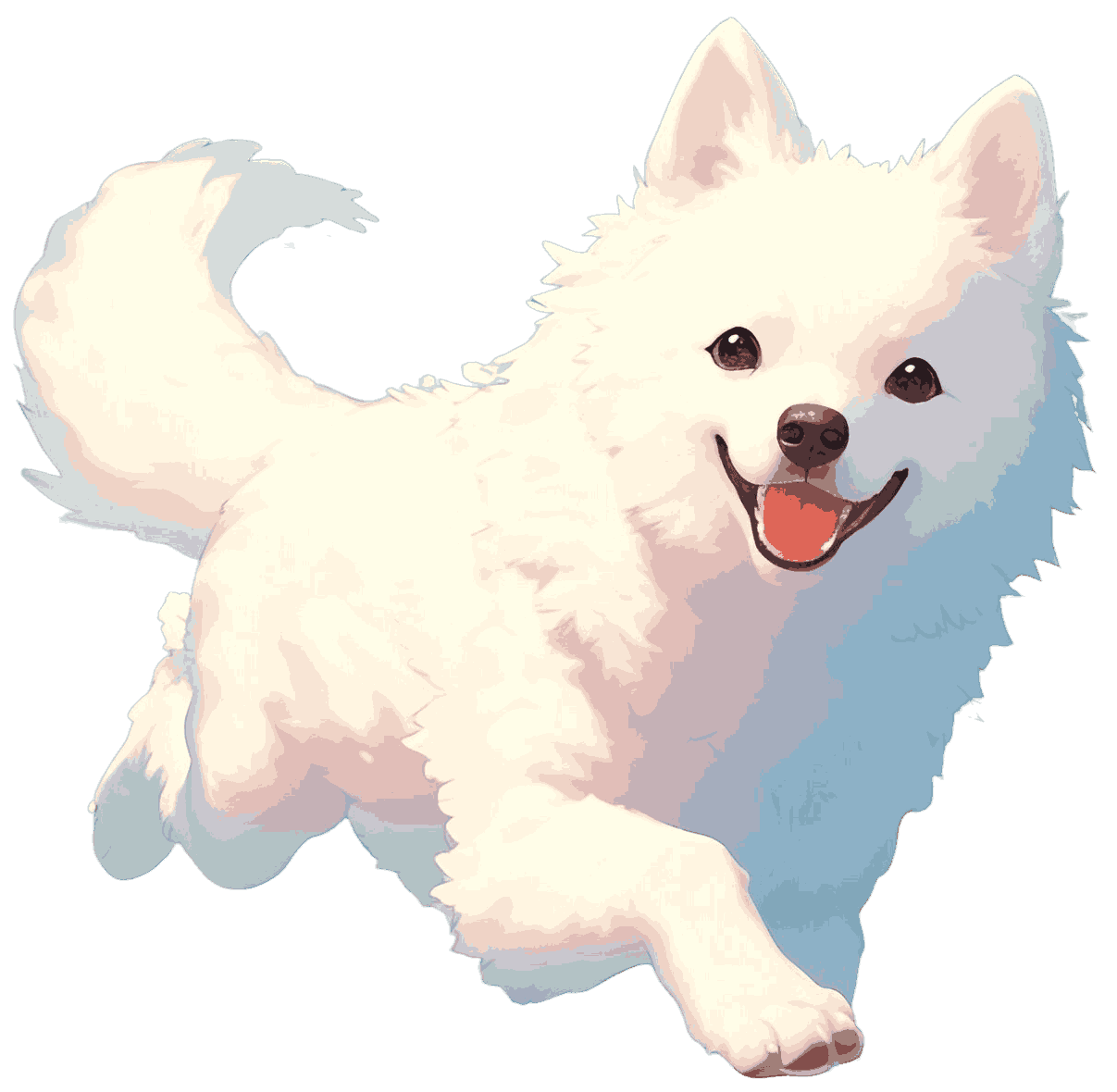 Indian Spitz