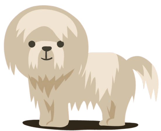 Maltese