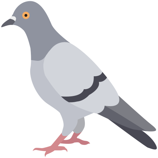 Pigeon-icon