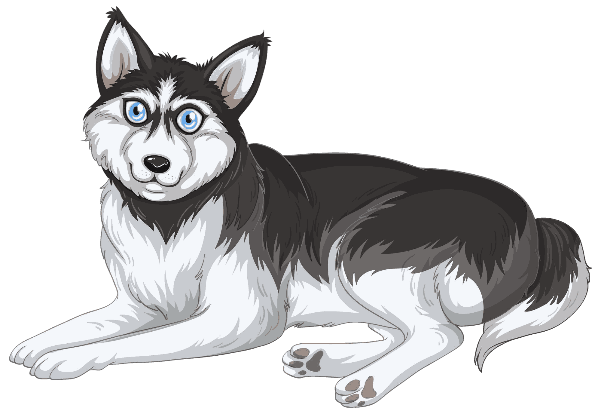 siberian-husky