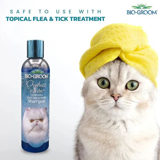 Bio-Groom Purrfect White Cat Conditioning Shampoo - 236 ml 7 Bio Groom Purrfect White Cat Conditioning Shampoo 236 ml with cat