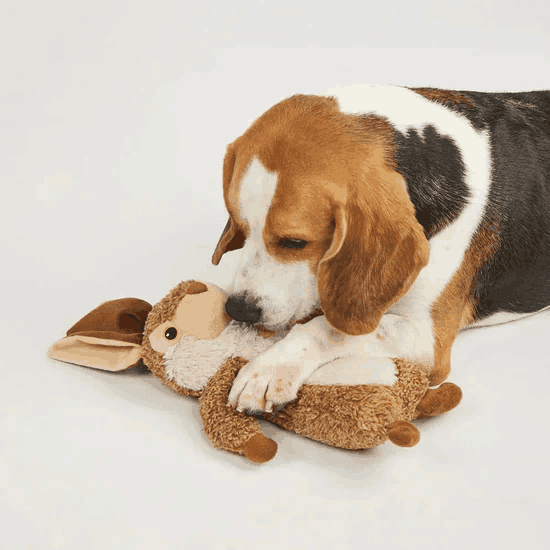FOFOS Wildlife Rabbit Plush Dog Toy 4 FOFOS Wildlife Rabbit Plush Dog Toy - Image 4