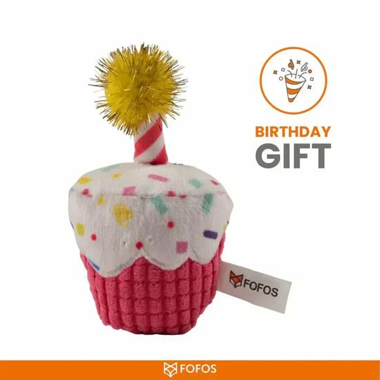 FOFOS Birthday Cake Cat Toy 2 FOFOS Birthday Cake Cat Toy - Image 2