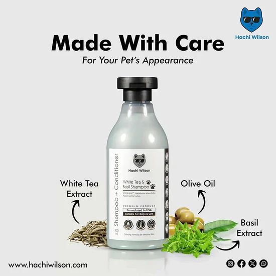 Hachi Wilson Premium White Tea & Basil Dog/Cat Shampoo - 300ml 2 Hachi Wilson Premium White Tea & Basil Dog/Cat Shampoo - 300ml - Image 2