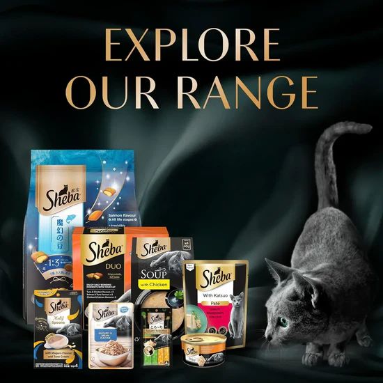 Sheba Duo Adult Crunchy Cat Treats - Tuna & Chicken, Salmon & Tuna, Chicken & Salmon - 135g 10 Sheba Duo Adult Crunchy Cat Treats - Tuna & Chicken, Salmon & Tuna, Chicken & Salmon - 135g - Image 10