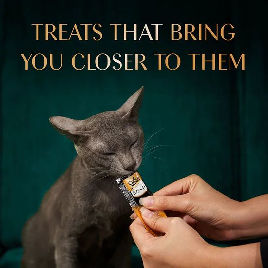 Sheba Melty Sasami Chicken Flavour Cat Meaty Treat - 48 gm 2 Sheba Melty Sasami Chicken Flavour Cat Meaty Treat - 48 gm - Image 2