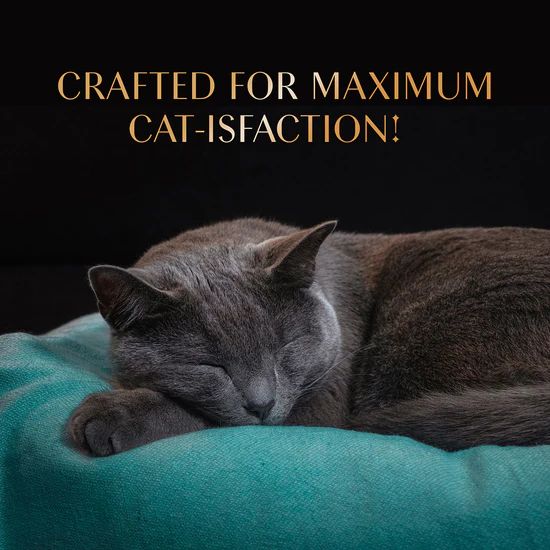 Sheba Melty Sasami Chicken Flavour Cat Meaty Treat - 48 gm 3 Sheba Melty Sasami Chicken Flavour Cat Meaty Treat - 48 gm - Image 3