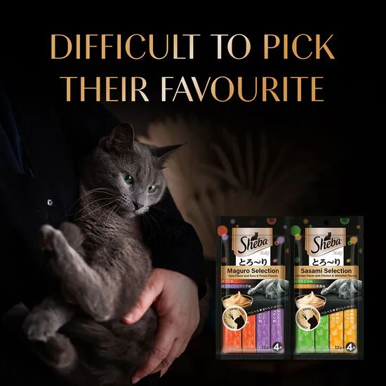 Sheba Melty Sasami Chicken Flavour Cat Meaty Treat - 48 gm 6 Sheba Melty Sasami Chicken Flavour Cat Meaty Treat - 48 gm - Image 6