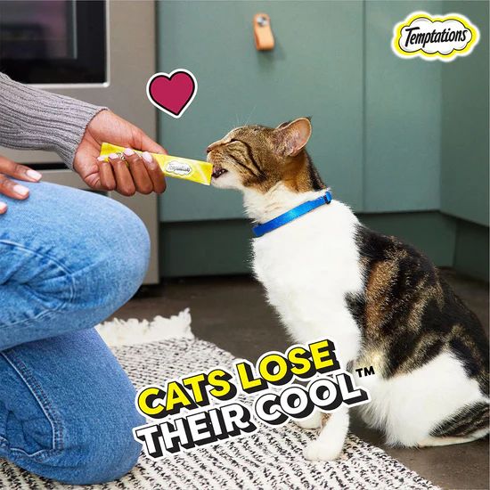 Temptations Creamy Purrrr-ee Chicken and Tuna Flavour Meaty Cat Treat - 48 gm (12 gm x 4 Pcs) 2 Temptations Creamy Purrrr-ee Chicken and Tuna Flavour Meaty Cat Treat - 48 gm (12 gm x 4 Pcs) - Image 2