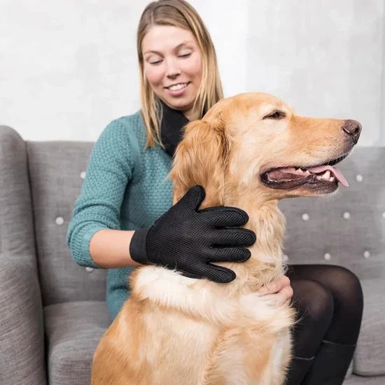 Trixie Fur Care Glove for Dog/Cat 6 Trixie Fur Care Glove For Dog Cat parent using it on dog