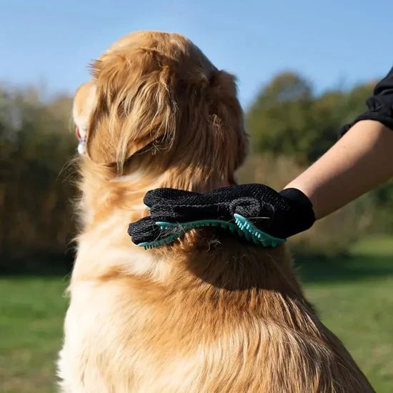 Trixie Fur Care Glove for Dog/Cat 5 Trixie Fur Care Glove For Dog Cat using on dog